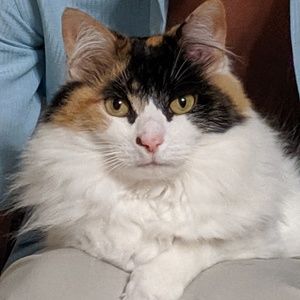 Closet Clean out Sale